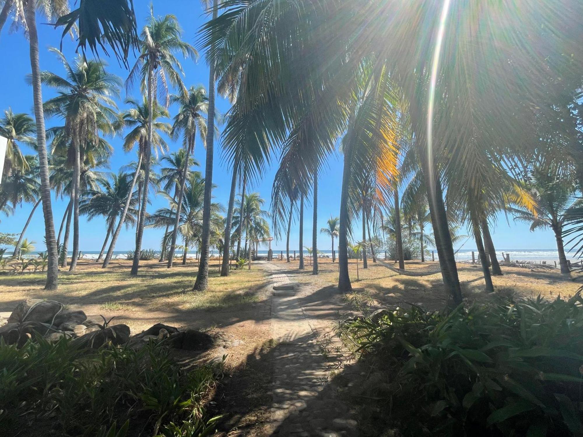 Sugarloaf Beach House & Surf Lodge エル・クコ エクステリア 写真